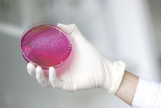 Перечислены опасные инфекции, обладающие устойчивостью к антибиотикам