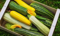 Не выбрасывайте старые кабачки — вот как вернуть им вкус и вид