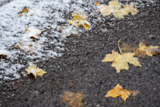 Какими будут осень и зима в Казахстане