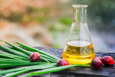 Диетолог поставил точку в спорах об опасности пальмового масла