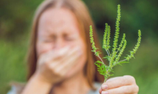 Названа группа риска наиболее подверженная аллергическим реакциям