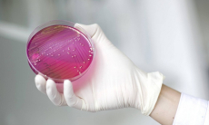 Какая бактерия помогает раку скрываться от иммунной системы