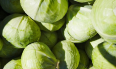 Пять ошибок при выборе капусты для квашения