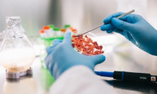 Как обезопасить себя от сальмонеллы