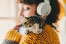 Правда ли, что кошки могут чувствовать болезни своих владельцев