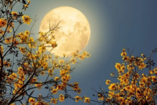 Ученые раскрыли загадку таинственных огней на Луне