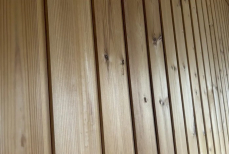 Какое дерево идеально для бани — красивое и не гниет, сколько воды ни лей