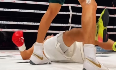 22-летний казахстанский боксёр брутально нокаутировал хозяина ринга. Видео