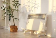 Как спасти комнатные растения в отопительный сезон — советы по уходу