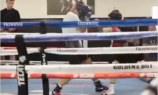 Дмитрий Бивол «схлестнулся» со звездным боксером из Узбекистана. Видео