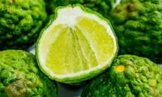 Ученые нашли природное средство против жировой болезни печени