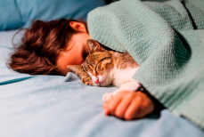 Почему нельзя спать с питомцами — сомнолог объяснил риски для здоровья