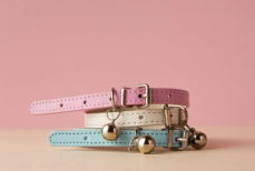 Что за новое явление — хоббидоггинг, и зачем им занимаются ​