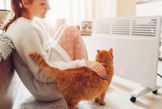 Какой обогреватель эффективнее зимой — радиатор или конвектор