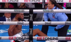 Брутальным нокаутом прямо в челюсть закончился бой в США. Видео