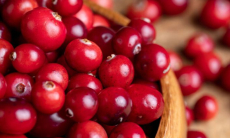 Как горькие продукты улучшают работу мозга