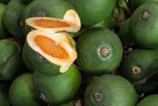 Опасная мода зумеров — чем грозит жевание бетельного ореха