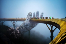 Туристов предупреждают о ядовитых жуках во Вьетнаме