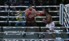 Брутальным нокаутом обернулся дебют экс-чемпиона UFC в боксе. Видео