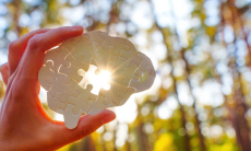 Какие привычки помогут омолодить мозг на восемь лет