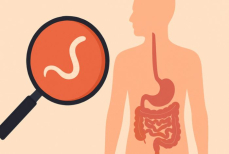 Названы главные симптомы, по которым можно заподозрить паразитов