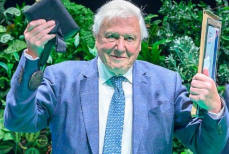 Всемирно известный натуралист раскрыл свою простую привычку. Ему 99 лет