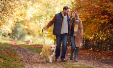 Чем полезна ходьба. Тренеры назвали научно доказанные преимущества для здоровья