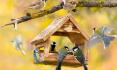 Назван неочевидный способ справиться с депрессией без лекарств