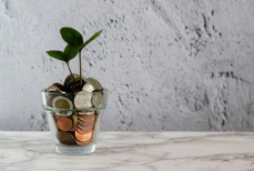 Астрологи раскрыли способы активировать денежный поток