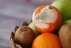 Можно ли есть продукты, которые лежали рядом с плесенью