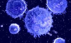 Открыт мощный механизм долгосрочной защиты от вирусов