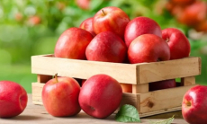 Какой фрукт помогает защитить легкие в холода