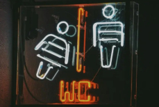 Раскрыта стоимость продажи легендарного золотого унитаза