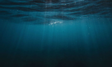 Дайвер из Швейцарии попал в Книгу Гиннесса