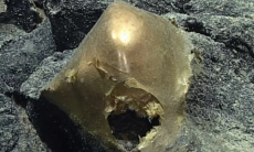 В океане на глубине 3300 метров загадочную золотую сферу