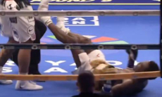 Непобеждённый боксёр с 21-й победой нокаутирован в бою за титул WBO в весе Алимханулы. Видео