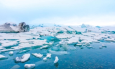 Поедают пластик. Ученые открыли новый вид бактерий