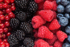 В ягодах нашли вещества, укрепляющие кости