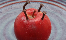 Почему высокий гемоглобин это тревожный сигнал?