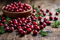 Недооцененный суперфуд — как клюква помогает при сезонных обострениях