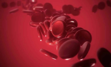 Почему возникает железодефицитная анемия