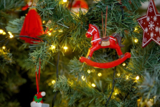 Символ 2026 года — Огненная Лошадь. Как встретить Новый год, чтобы привлечь удачу