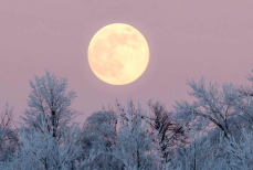 Декабрьское полнолуние — что обещает финальное лунное явление 2025 года