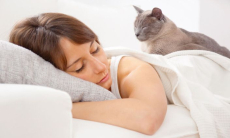 У дневного сна выявили важное преимущество для мозга