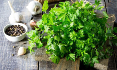 Чем полезна петрушка