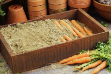 Как правильно хранить овощи