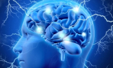 Какие привычки могут навредить мозгу