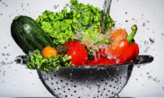 Какие пестициды являются самыми опасными для здоровья