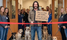 Киану Ривз открыл самый большой приют для кошек и собак в мире