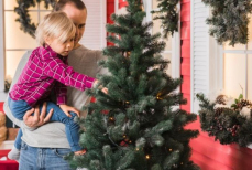 Живая елка в доме. Как она может навредить организму